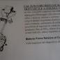 disabilità ricerca prodotti disabili