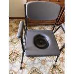 sedia wc