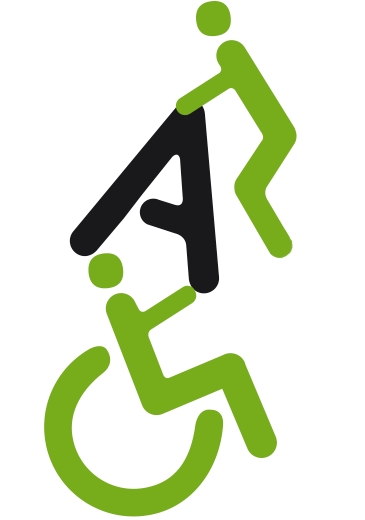 carrozzine disabili usate